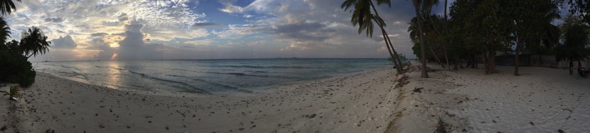 Boutique Beach Maldives Dhigurah Island Panoramic Shot White Sands and Palm Tree